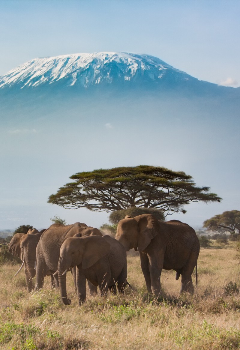 Destination Mount Kilimanjaro