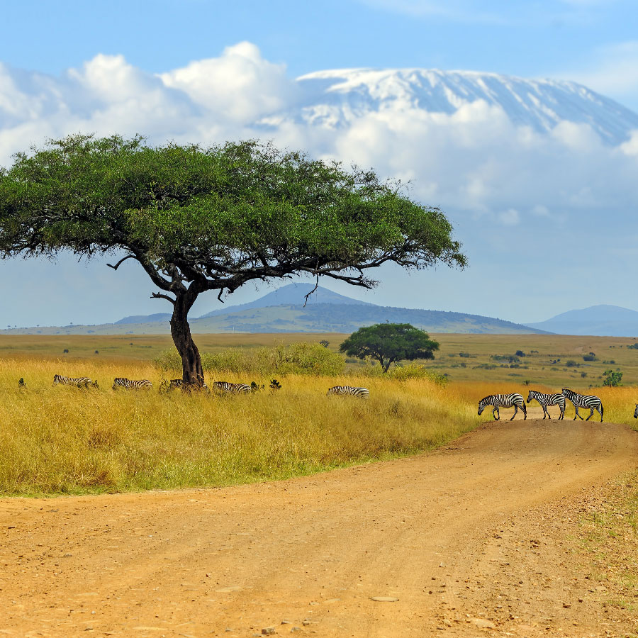 Destination Kilimanjaro
