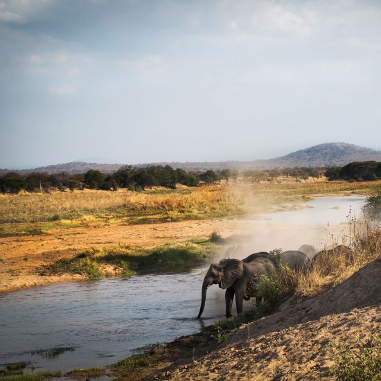 6 Days Safari (Tanzania)